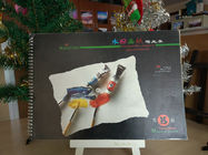 Пусковые площадки бумаги гуаши пусковой площадки краски художника художника листов 160 Гсм 32 для Бегиннер